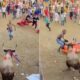 Participante morre durante festa com touro em Fundación, na Colômbia