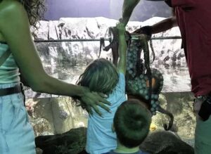 Menino de 6 anos sendo sugado por polvo em aquário