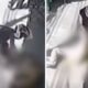 Câmeras mostram mulher sendo arrastada durante roubo em Ramos
