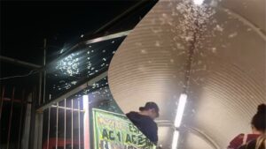 Cupins alados, atraídos pela luz, voam pelas varandas e praças de Belo Horizonte durante fenômeno típico do período reprodutivo da espécie
