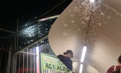Cupins alados, atraídos pela luz, voam pelas varandas e praças de Belo Horizonte durante fenômeno típico do período reprodutivo da espécie