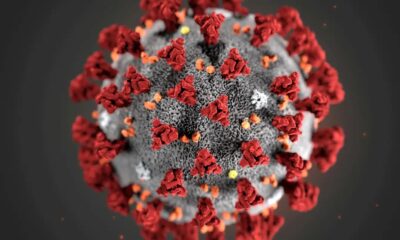 Caso descrito pela The Lancet Microbe é o mais longo já registrado de infecção pelo coronavírus; paciente tinha HIV em estágio avançado