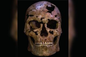 Restos mortais de TBH1 foram encontrados entre 2017 e 2018 na caverna Thung Binh 1, no Vietnã. A investigação identificou fratura e infecção causadas por um projétil de quartzo, sugerindo um assassinato pré-histórico