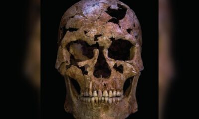 Restos mortais de TBH1 foram encontrados entre 2017 e 2018 na caverna Thung Binh 1, no Vietnã. A investigação identificou fratura e infecção causadas por um projétil de quartzo, sugerindo um assassinato pré-histórico