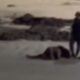 Casal é flagrado em fazendo sexo em praia movimentada