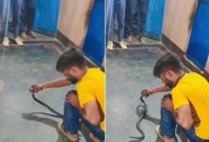 Homem indiano com blusa amarela e calça jeans agachado e segurando com as mãos uma cobra.