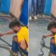 Homem morre picado por cobra após aceitar R$ 35 para capturá-la