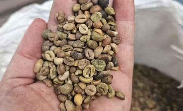 café impróprio