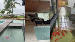 montagem de fotos da casa mostrando lago e piscina