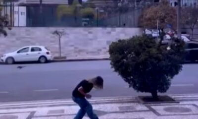 Sabiás-do-campo realizam voos rasantes no Belvedere e atacam mulheres próximas aos ninhos. Espécie deve parar os ataques em cerca de 40 dias, quando os filhotes deixarem o local