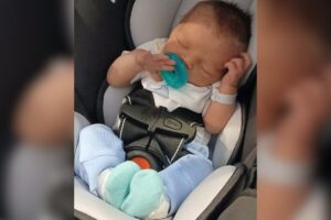 Família bebê publicou homenagem após morte acidental causada pelo cachorro da casa