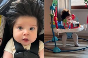 Bebê de cinco meses se torna sensação nas redes sociais por causa de cabelos volumosos e chamativos, conquistando fãs com seu estilo único desde os primeiros meses de vida