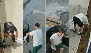 Suspeito confessou ter furtado plantas de escola no bairro Alto Caiçaras, em BH