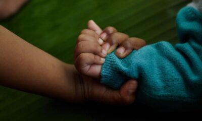 Vítima faleceu em decorrência de múltiplos golpes de faca | Reprodução/Pexels