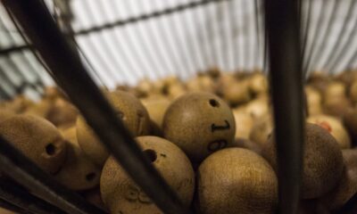 A falta de moderação rendeu ao britânico uma embolia pulmonar bilateral | Reprodução/PxHere