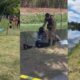 Casal de idosos que cuidava da mãe de 100 anos é encontrado morto na Lagoa da Pampulha