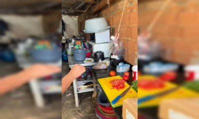 Salgados vendidos em Goiânia eram produzidos em fábrica clandestina