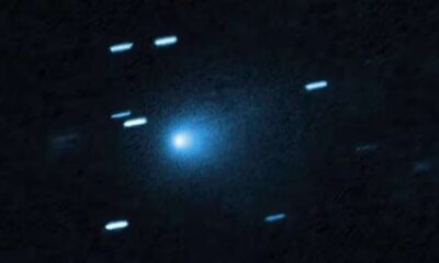 foto do cometa do céu