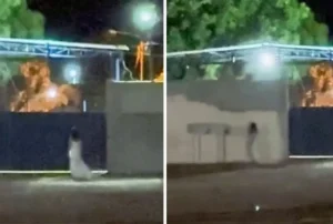 Imagem mostra mulher com vestido branco caminhando em frente a um cemitério.