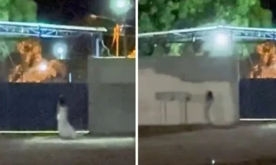 Imagem mostra mulher com vestido branco caminhando em frente a um cemitério.