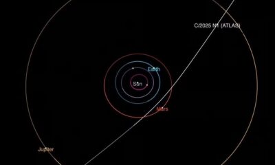 Em diagrama, a trajetória do cometa interestelar 3I/ATLAS pelo Sistema Solar | Foto: NASA/JPL-Caltech