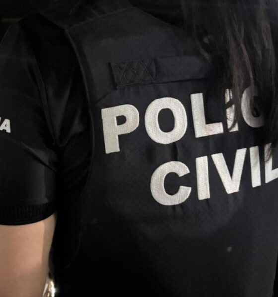 Suspeitos têm 55 e 21 anos | Reprodução/Polícia Civil