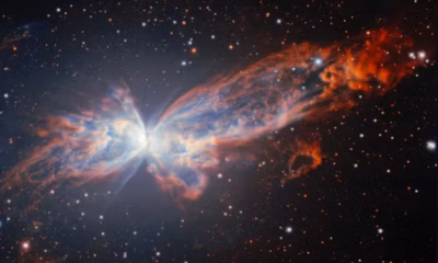 Imagem da Nebulosa da Borboleta mostrando duas grandes asas de gás brilhante emitidas por uma estrela anã branca no centro.