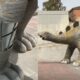 Imagem mostra estátua de dinossauro.