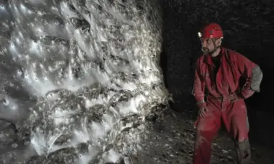 Maior teia de aranha do mundo é encontrada em caverna europeia