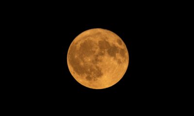 Superluas são diferentes de luas cheias | Reprodução/Pexels