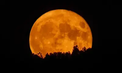 Último fenômeno do tipo em 2025 poderá ser observado nesta quinta-feira (4)