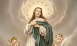 Ilustração religiosa de Nossa Senhora da Imaculada Conceição com manto verde e branco, mãos sobre o peito, cercada por anjos e uma auréola de estrelas no céu.
