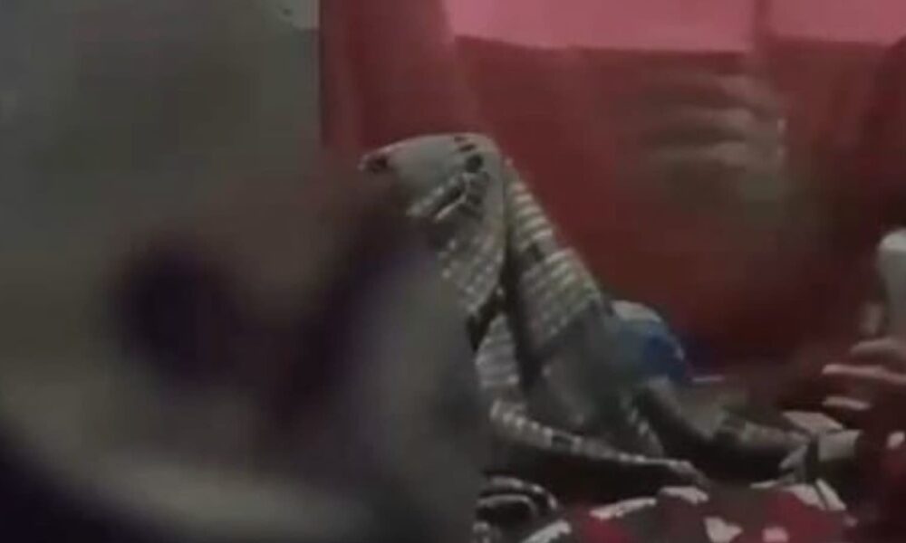 Mulher é presa após vídeo mostrar agressão contra filho de 9 anos em BH