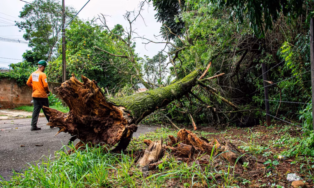Temporal com granizo causa destelhamentos e derruba árvores em Santa Luzia