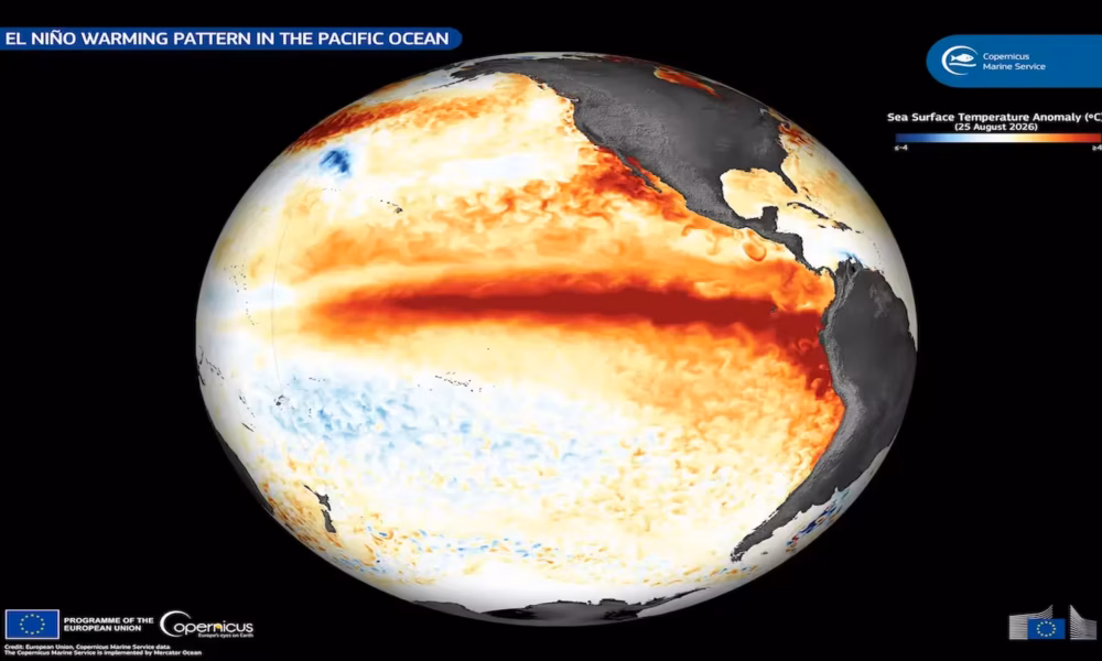 Estudo aponta que Super El Niño pode provocar 451 mil mortes por calor no mundo; Brasil é um dos países mais afetados